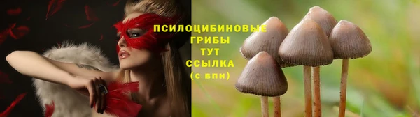 прущая мука Липки