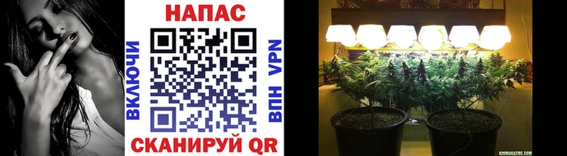 darknet Telegram цена наркотик Вилюйск Бошки Шишки Bruce Banner